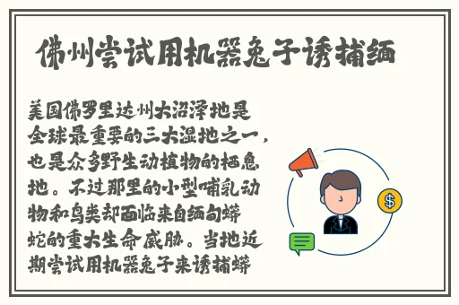 少妇精品无码一区二区免费视频